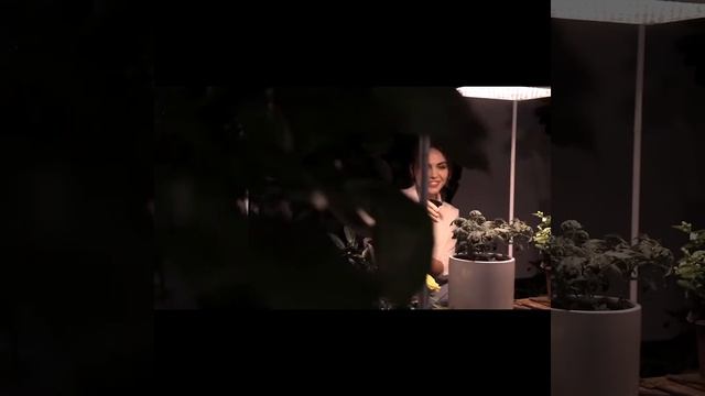 Now on Kickstarter: Well Lit—250W Grow Led Light With Built-In Cooling System смотреть онлайн