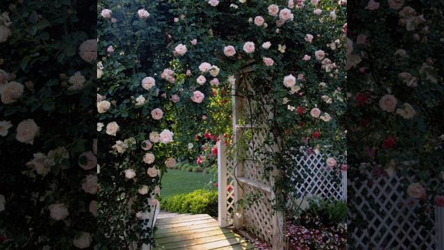 25 интересных идей для дачи и загородного дома! смотреть онлайн