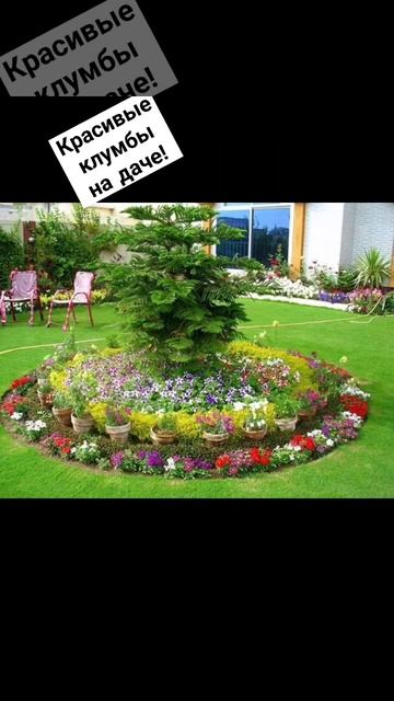 Идеи для дачи #14 Простые красивые клумбы! #дача #загородныйдом #сад смотреть онлайн