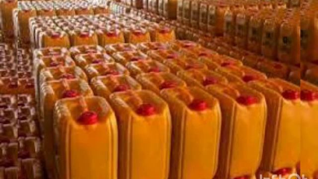 HOW TO MAKE HUGE MONEY FROM PALM OIL BUSINESS смотреть онлайн