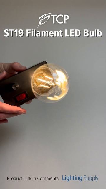 TCP ST19 Filament LED Bulb (FST19D4027CCQ) #youtubeshorts #ledlights @TCPLighting смотреть онлайн
