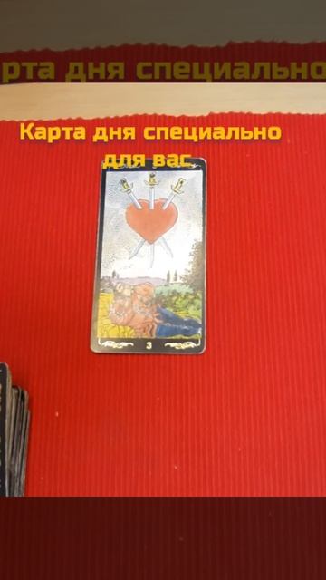 18 сентября 2021 г. КАРТА ДНЯ СПЕЦИАЛЬНО ДЛЯ ВАС #Shorts смотреть онлайн