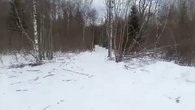 Едем в делянку на УАЗ буханке. смотреть онлайн