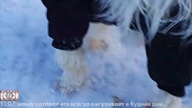 061223/Первый школьный день брата за долгое время и не только\9808 смотреть онлайн