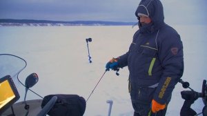 Лютая погода, а судак клюёт как дурной! Зимняя рыбалка на судака 2024-2025г.