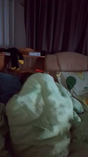1000011770.mp4 смотреть онлайн