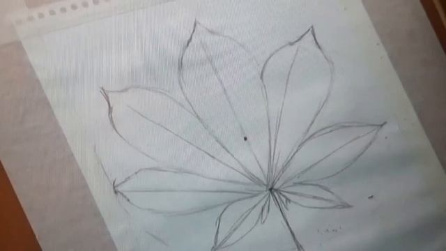 Как нарисовать осенний лист, легко и просто смотреть онлайн