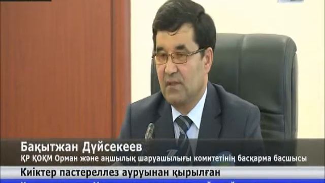 Киіктердің жаппай қырылуына пастереллёз ауруы себеп болған