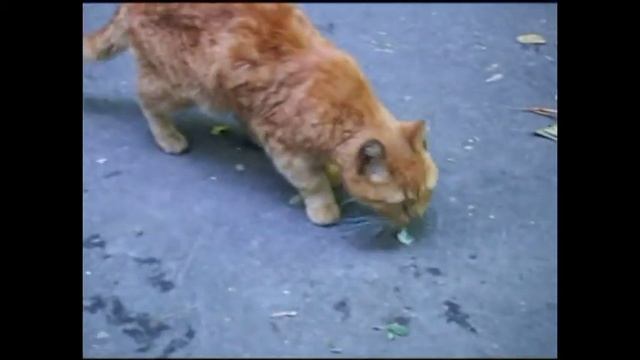 Мои 