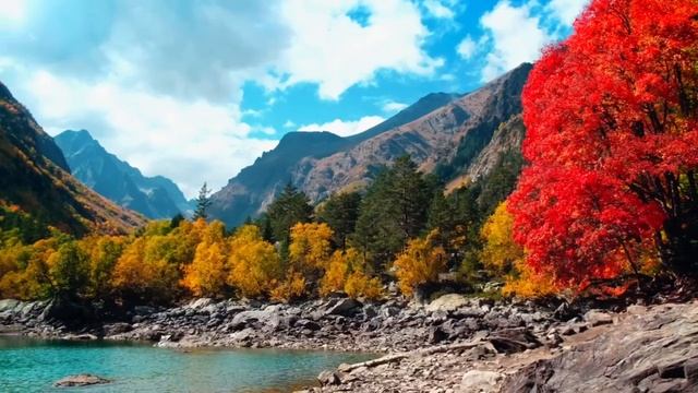 IMG_1486 смотреть онлайн