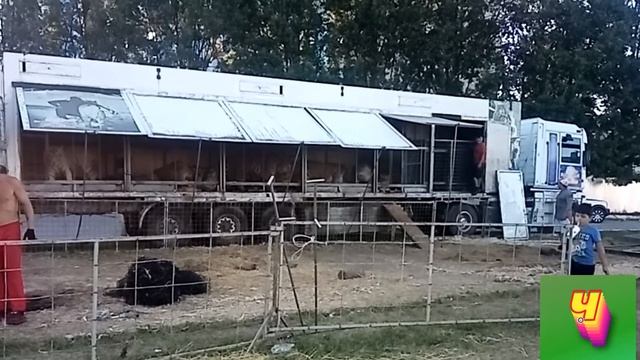 Вот и лето прошло. Словно и не бывало. На пригреве тепло. Только этого мало смотреть онлайн