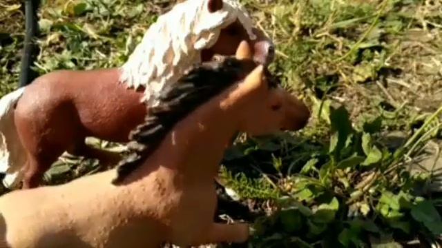 Сериал шляйх | 