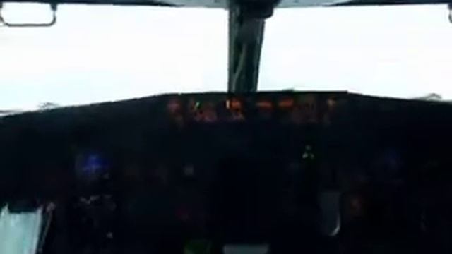 TSO ALA DME смотреть онлайн