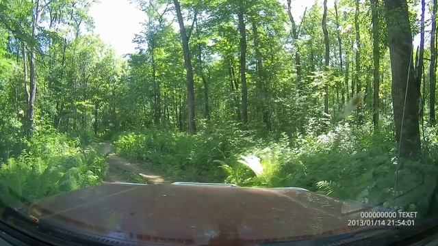 Стоковая 80-ка в лесу смотреть онлайн