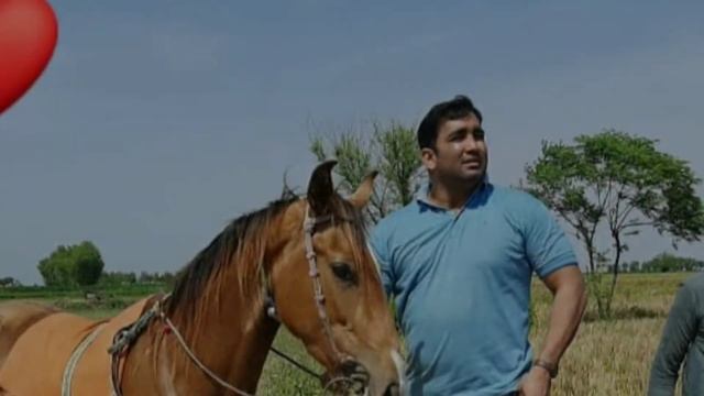 Shafiq Chishti Lifestyle, Age, Business, Car, Biography 2020 | Chishti Box смотреть онлайн