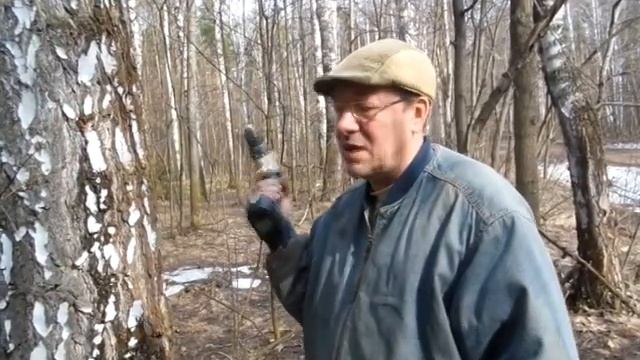 "Пикник на обочине. Эпизод VII" Берёзовый сок и папа Карло смотреть онлайн