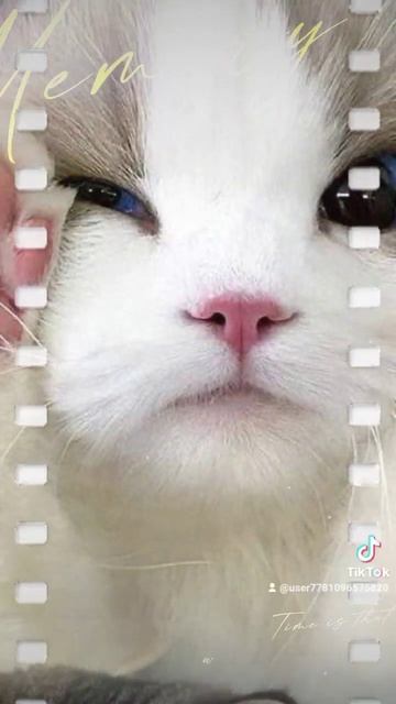 Если что это мой тик ток аккаунт и у меня взлом тик тока скоро будет тутор как скачать взлом смотреть онлайн