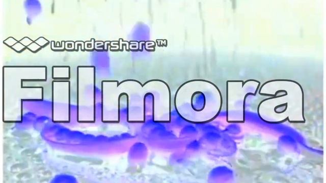 Baby Newton In G Major [Part 1]