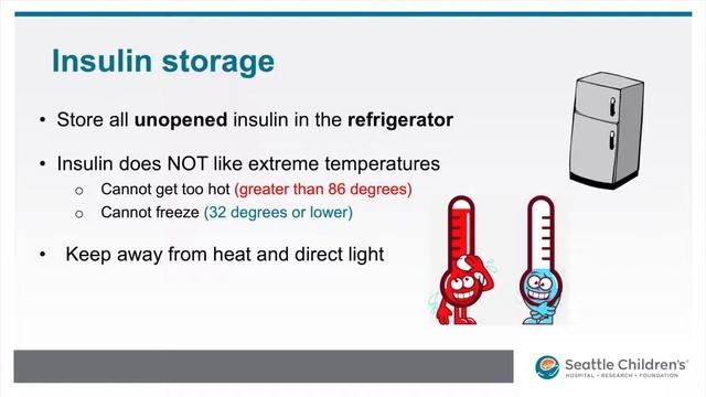 PDA Module 8 - Insulin Storage and Expiration смотреть онлайн
