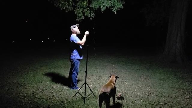 Conpex Portable Camp Light/ Fishing Light/ Work Light