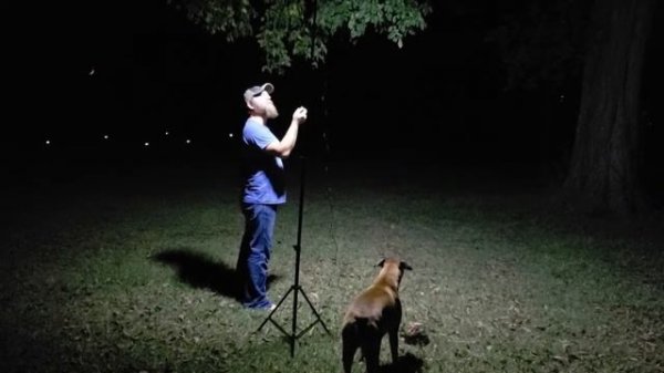 Conpex portable camp light/ fishing light/ work light