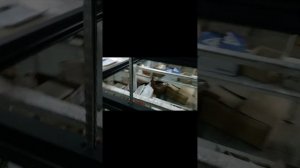 Скрытый цепной привод фрамуги