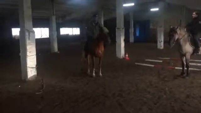 На дыбы смотреть онлайн