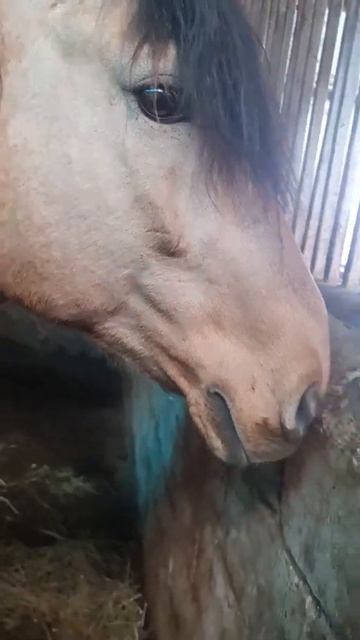 30 марта 2022 г. смотреть онлайн