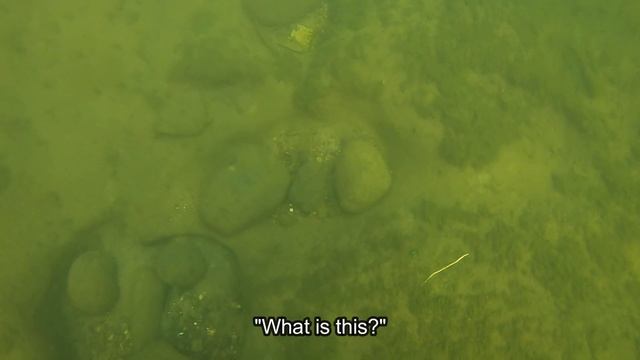 Found & Spread a Bag of Ashes While Scuba Diving! Plus, a Knife, a Bullet, Ray Bans & More! смотреть онлайн