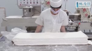 ФАБРИКА ПО ПРОИЗВОДСТВУ ПЕЛЬМЕНЕЙ | Пельменный аппарат | Мини-заводы | ПИЩЕВОЕ ОБОРУДОВАНИЕ ИЗ КИТАЯ