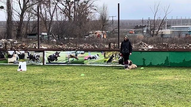 Бри 19.01.24 проба СПС вся схема