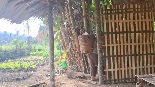 The bold daughter-in-law stole money from her mother-in-law