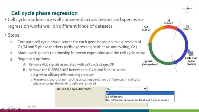 scRNA-seq: Cell cycle regression смотреть онлайн