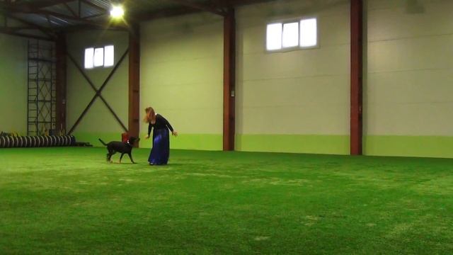 Лобастова Инна Владимировна ИСГААРД АИДА босерон Прогресс-Фристайл смотреть онлайн