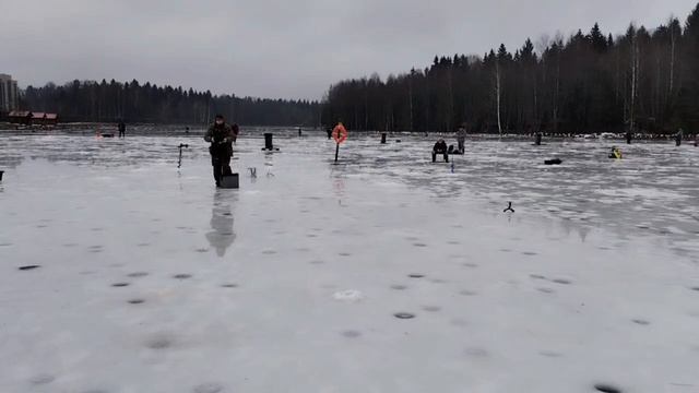 Видеоотчет с водоема смотреть онлайн