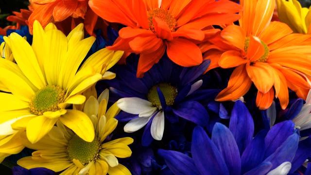 Свежая песня для отдыха онлайн смотреть онлайн