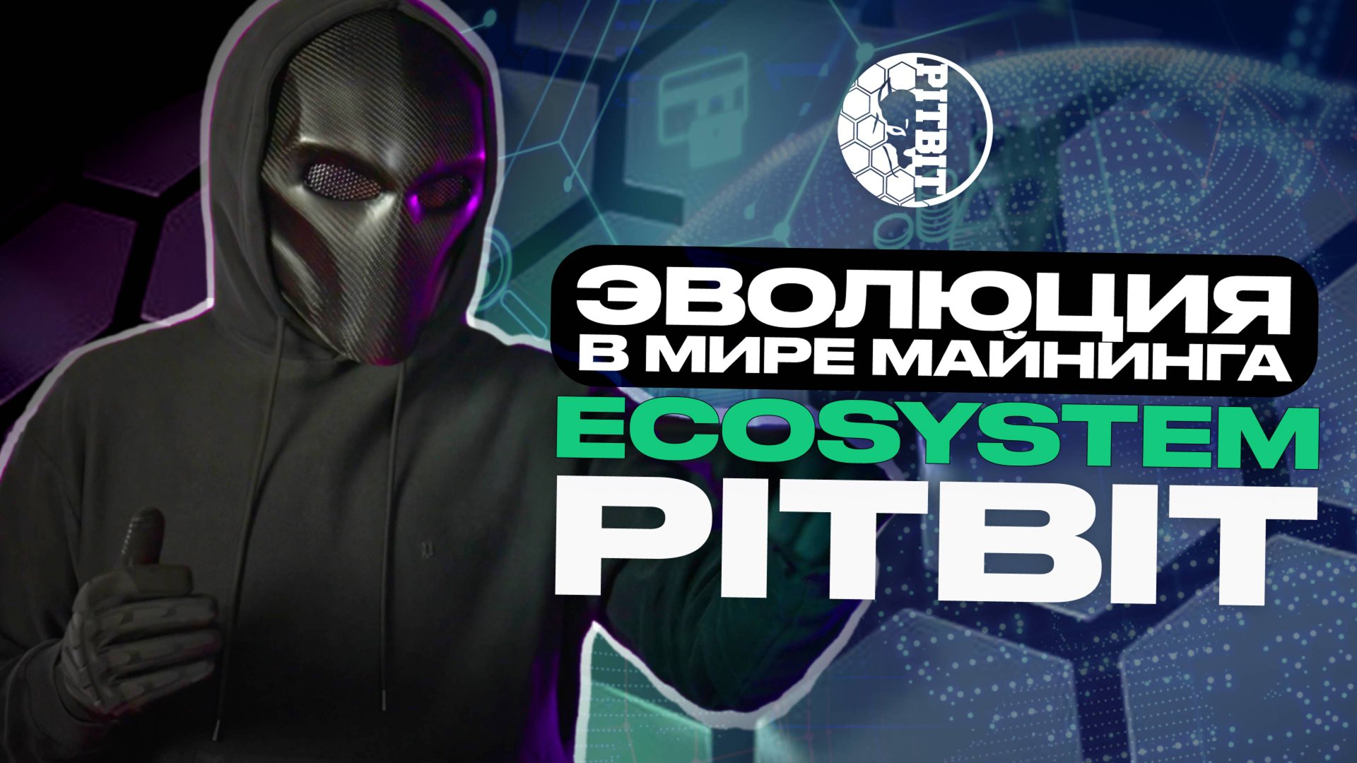 Обзор от Основателя. PITBIT ECOSYSTEM - Интеллектуальная система управления аппаратами.