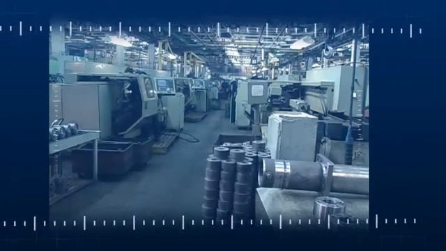 Special Economic Zone 