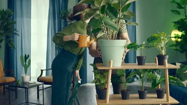 Реклама Розетки смотреть онлайн