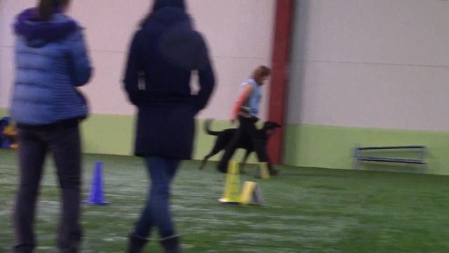 Босерон H'Ardigrand Leksa  Никольская Еленаралли обиденс РО1 дебют 1 трасса  24.02.18