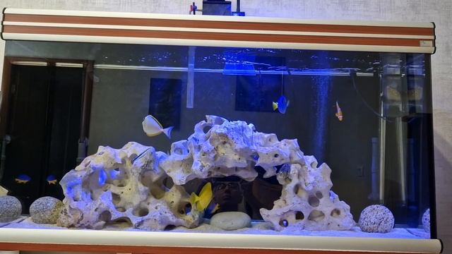 Морской аквариум 330 л смотреть онлайн