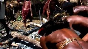 Один день из жизни Папуасов