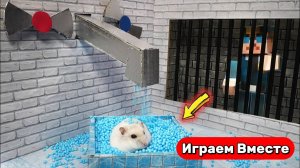 Хомяк сбегает из тюрьмы с Ловушками ! Видео для детей ! Майнкрафт Лабиринт !