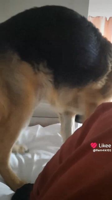 Рэм скучает по 🐈 смотреть онлайн