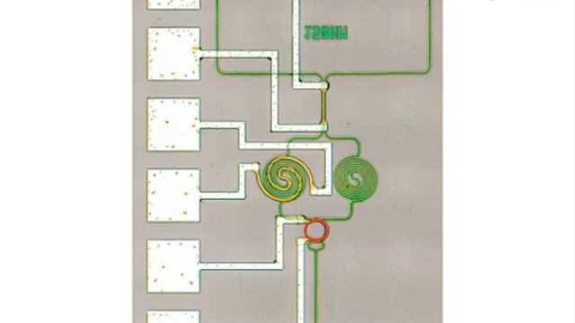 Quantum Interference Measurement in Ring Resonator Photon Source |Protocol Preview смотреть онлайн
