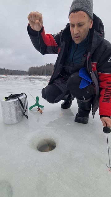 Форель на малька смотреть онлайн