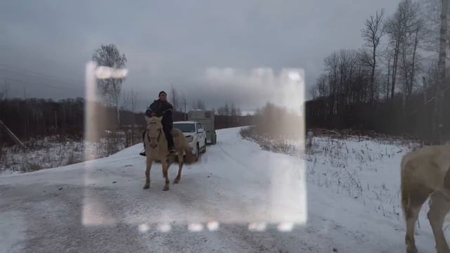 Ранчо на Урале. Вернулся домой и сразу начались веселые денечки / Деревенская жизнь смотреть онлайн