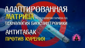 Бросить курить 🎶 программа матрица по технологии Гаряева П.П ☀️ SoftRadio.ru