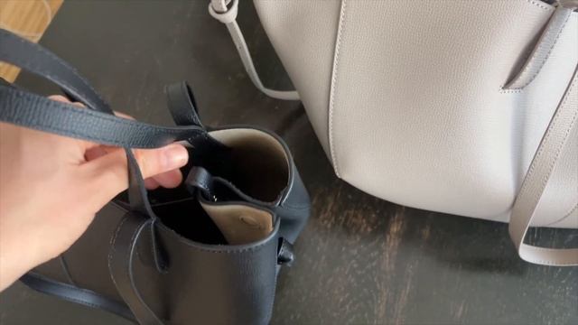 Polene Cyme Vs. Polene Cyme Mini | My Honest Review