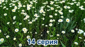 Склифосовский 8 сезон 13 - 14 серия